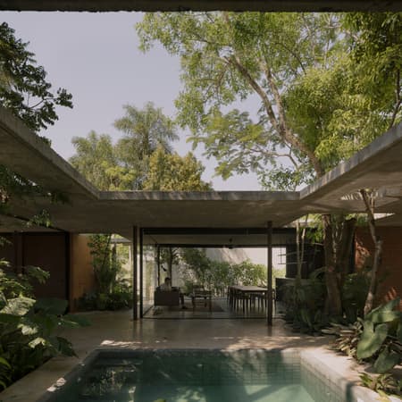 A Forest in the House